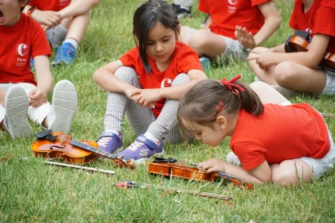 violines en el ceped